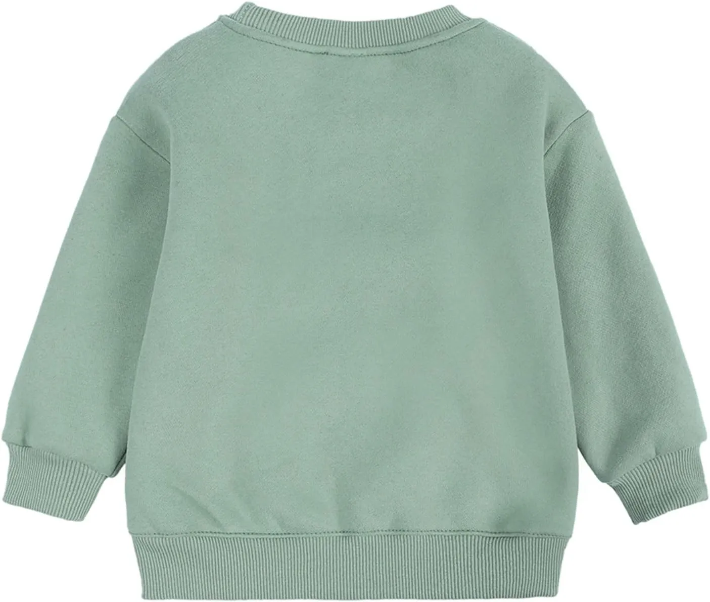 Toddler Boys Girls Fleece Lined Crewneck Sweatshirt Kids Sport Solid Basic Cotton Pullover Tops Long Sleeve Shirt